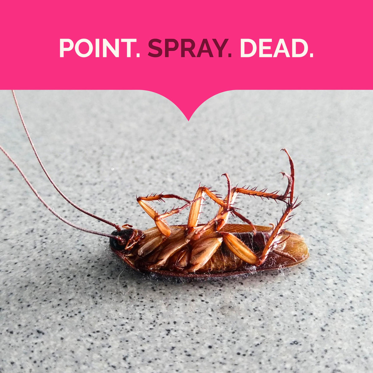 Hot Shot Ant, Roach & Spider Killer, Kills Insects Indoors and Outdoors, Kills Roaches and Listed Ants on Contact, Insecticide Spray, 17.5 Ounce (Crisp Linen)-UPStoxs